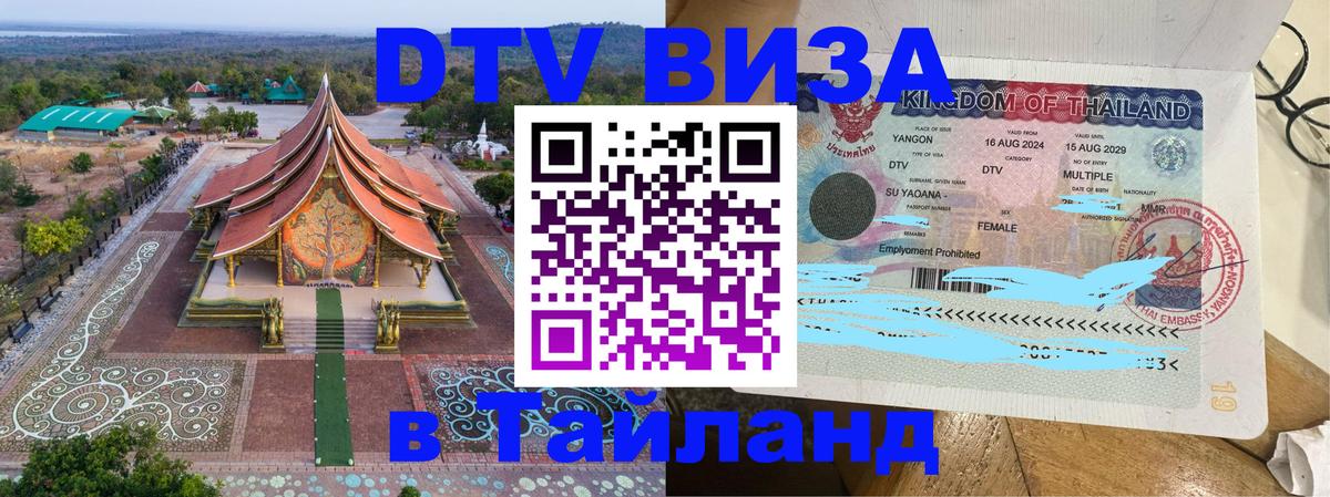 Сколько стоит DTV виза — актуальные цены, оформление даже без документов - Эр-Рияд 